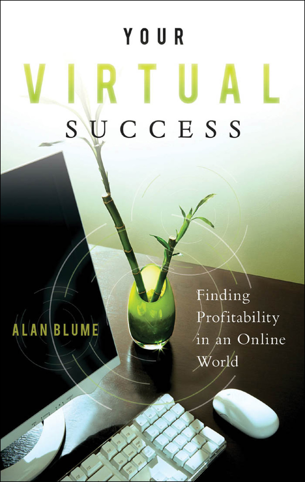 Your Virtual Success Finding Profitability in an Online World - (PDF/EPUB Version)
