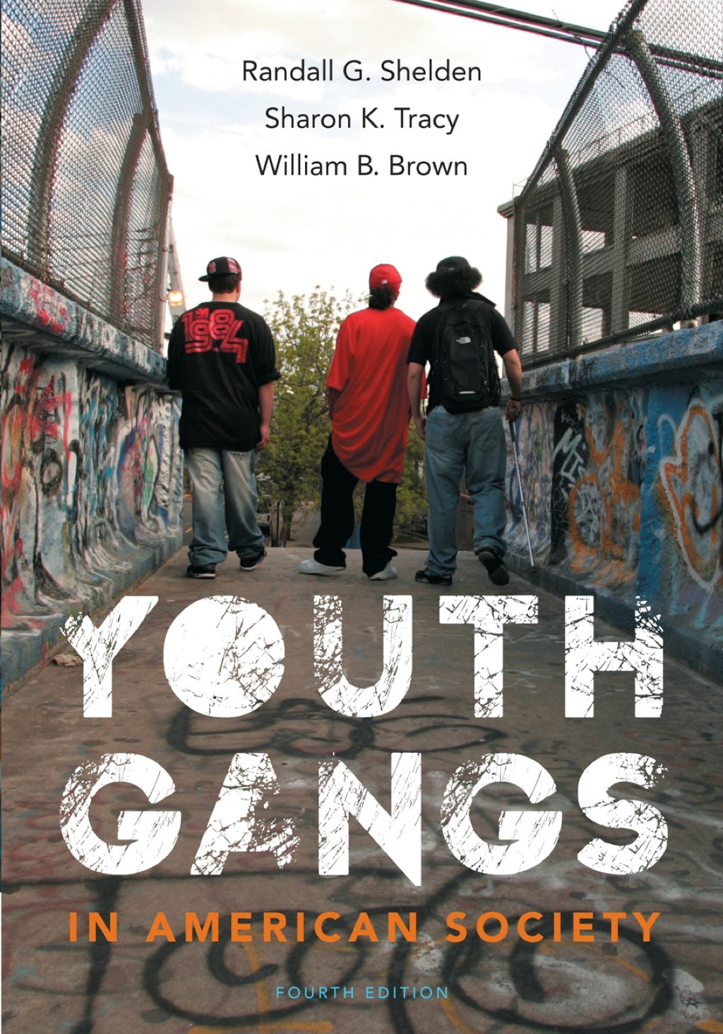 Youth Gangs in American Society 4th Edition â€“ PDF/EPUB Version Downloadable