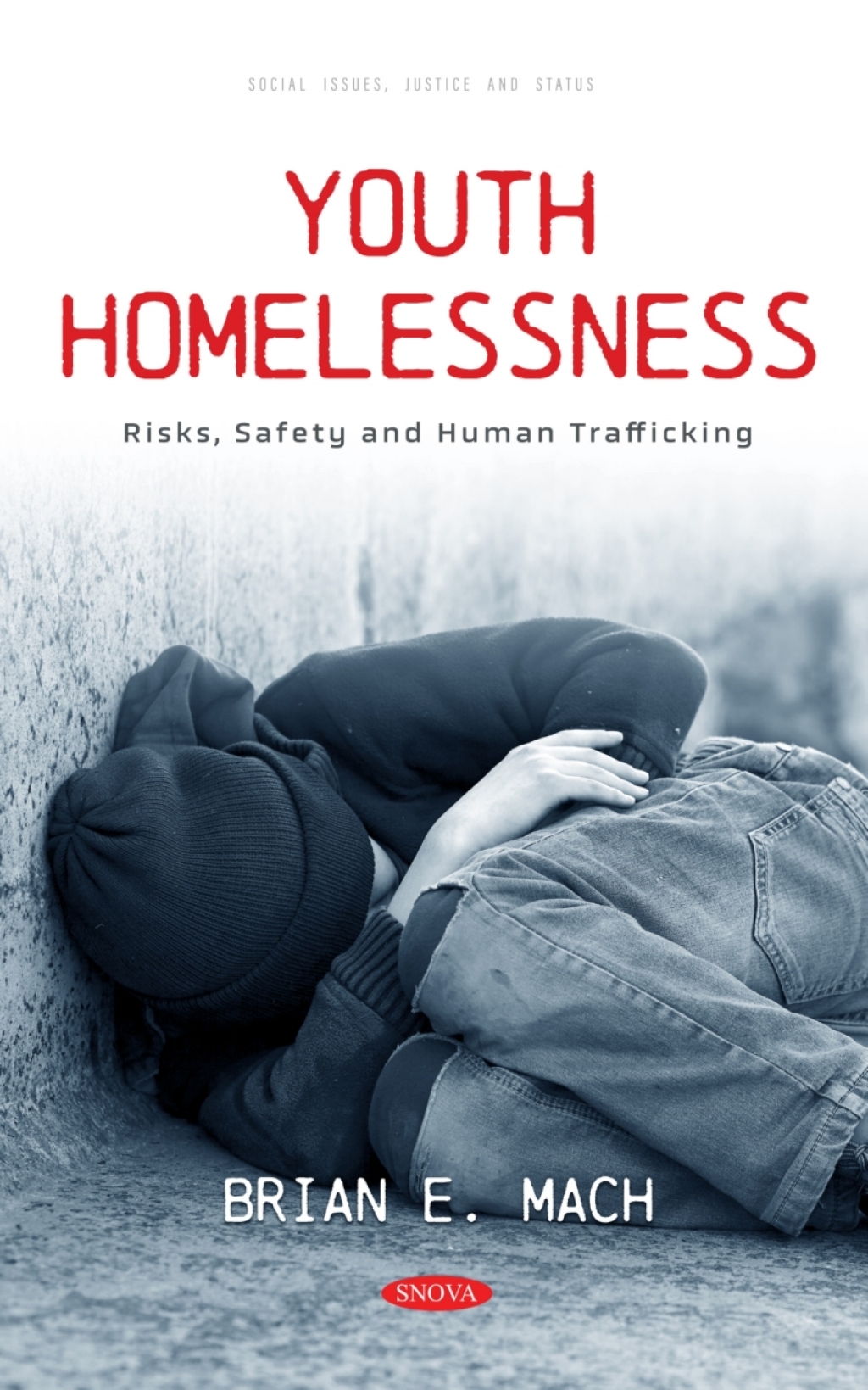Youth Homelessness: Risks, Safety and Human Trafficking  â€“ PDF/EPUB Version Downloadable