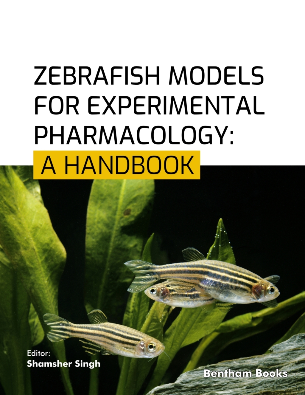 Zebrafish Models for Experimental Pharmacology: A Handbook 1st Edition â€“ PDF/EPUB Version Downloadable