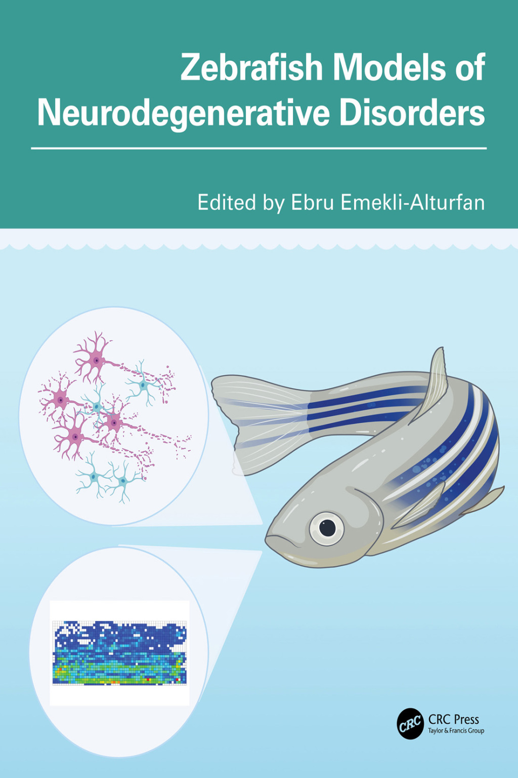 Zebrafish Models of Neurodegenerative Disorders 1st Edition â€“ PDF/EPUB Version Downloadable