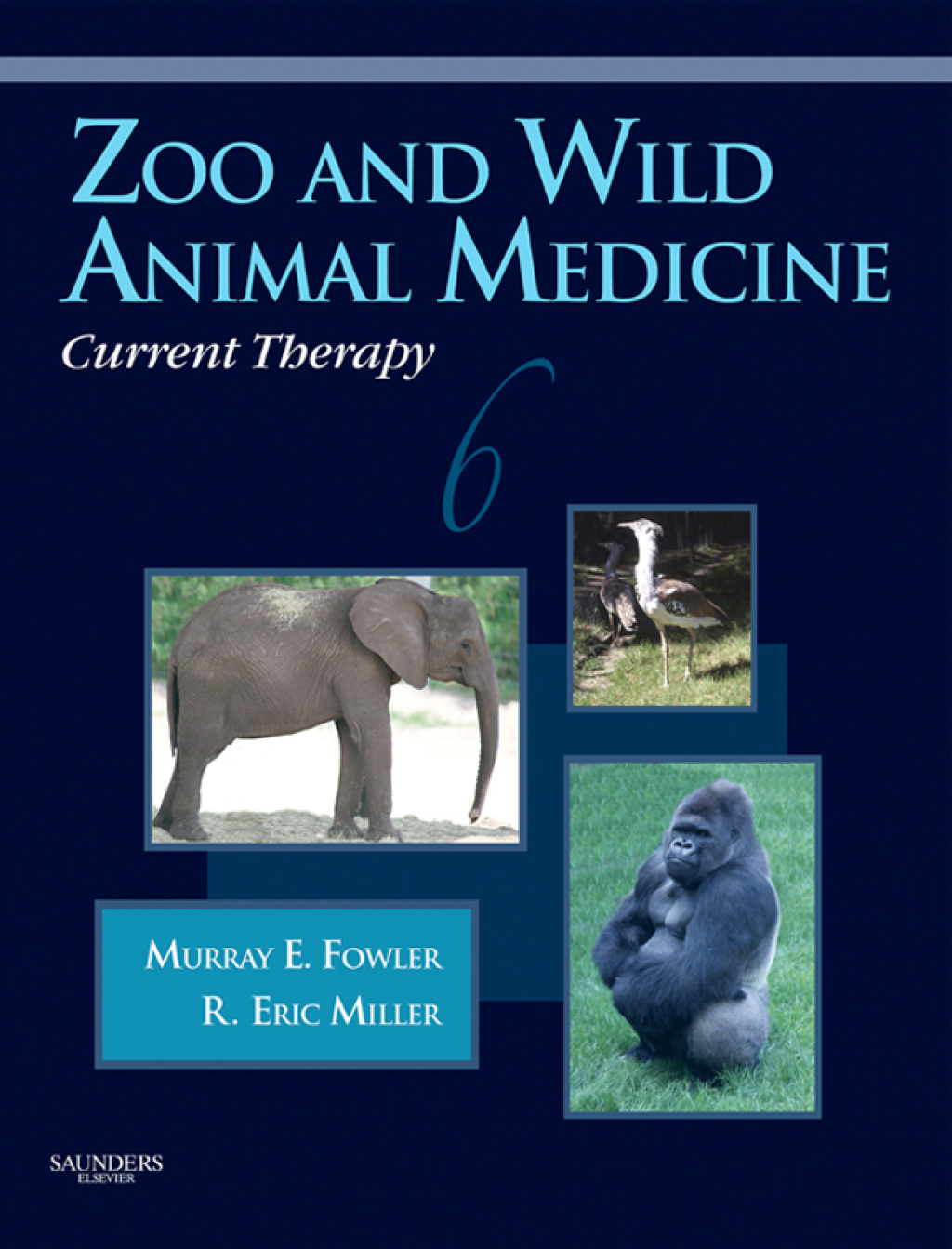 Zoo and Wild Animal Medicine Current Therapy 6th Edition â€“ PDF/EPUB Version Downloadable