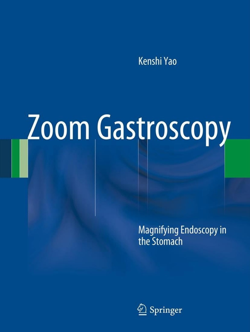 Zoom Gastroscopy Magnifying Endoscopy in the Stomach  â€“ PDF/EPUB Version Downloadable